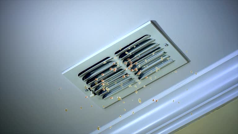 Best Best Air Duct Cleaning Company  in Surprise, AZ