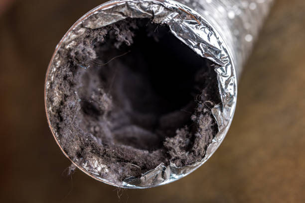 Best Emergency Air Duct Cleaning  in Surprise, AZ